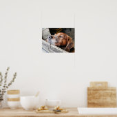 HONDEN POSTER (Keuken)