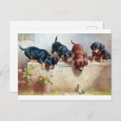 Honden Puppies Briefkaart ter illustratie van de V (Voorkant / Achterkant)