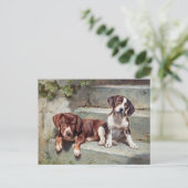 Honden Puppies  oud Briefkaart (Staand voorkant)