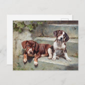 Honden Puppies  oud Briefkaart (Voorkant / Achterkant)