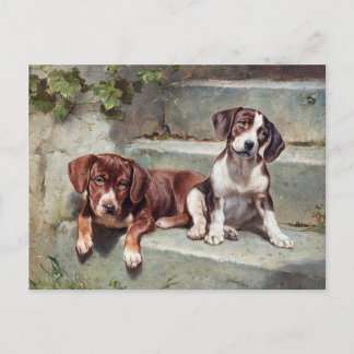 Honden Puppies  oud Briefkaart