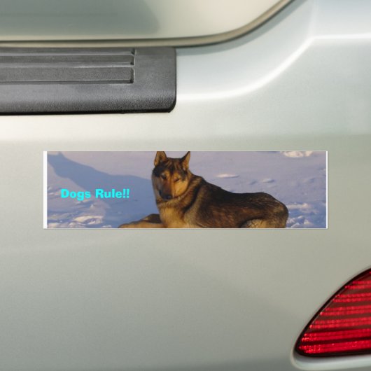 Honden Regel! Bumpersticker (Op auto)
