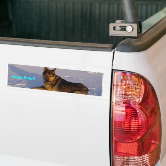Honden Regel! Bumpersticker (Op Truck)