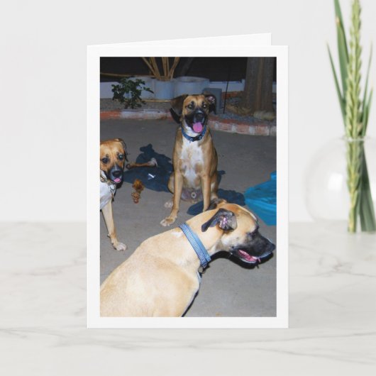 Honden 's Nachts Kaart (Voorkant)