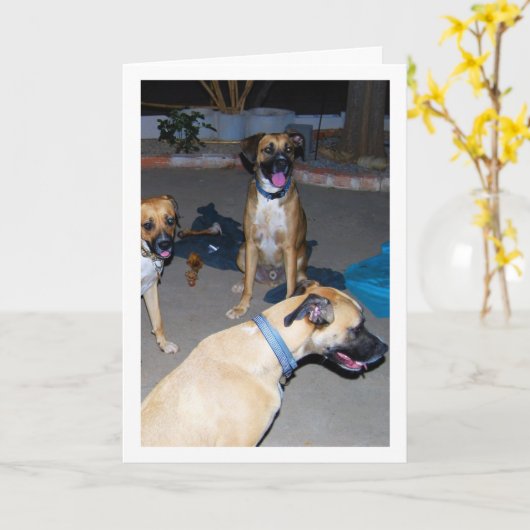 Honden 's Nachts Kaart (Gele Bloem)