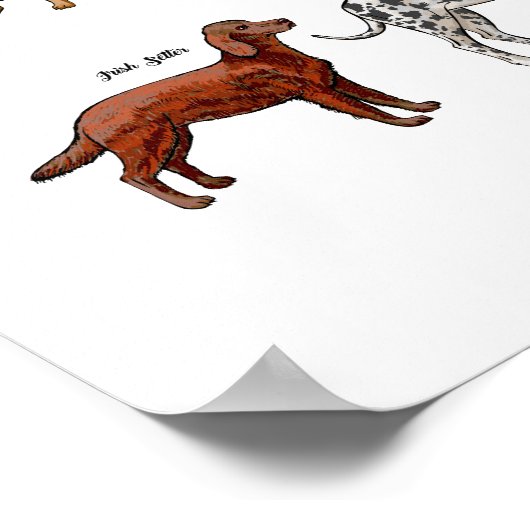 Honden schetsen poster (Hoek)