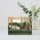 Honden slapen op sofa briefkaart (Staand voorkant)