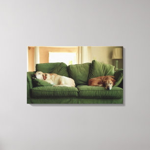 Honden slapen op sofa canvas afdruk