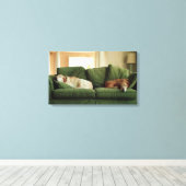 Honden slapen op sofa canvas afdruk (Insitu (Houten vloer))