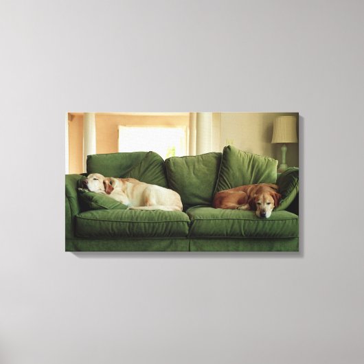 Honden slapen op sofa canvas afdruk (Voorkant)