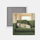 Honden slapen op sofa magneet (Voorkant / Achterkant)