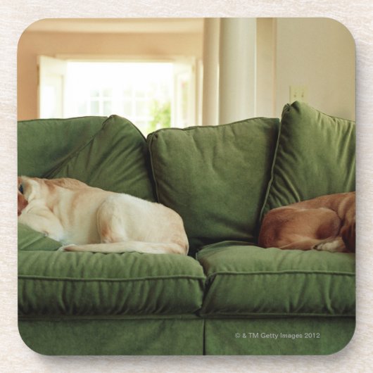 Honden slapen op sofa onderzetter (Voorkant)