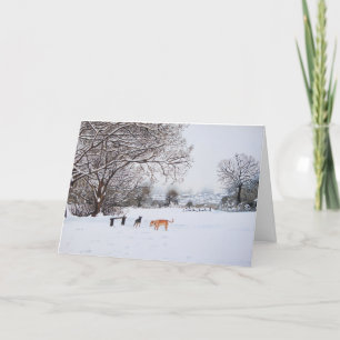 honden sneeuw bedekte bomen winterlandschap landsc feestdagen kaart