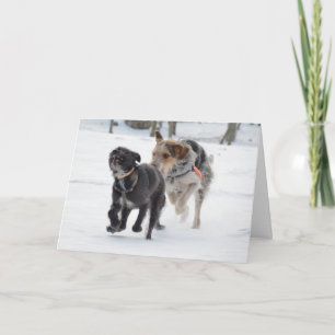 Honden spelen in de sneeuw Kerstmis Feestdagen Kaart