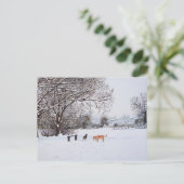 Honden spelen in sneeuwlandschap met Kerstmis Briefkaart (Staand voorkant)