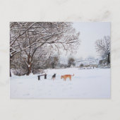 Honden spelen in sneeuwlandschap met Kerstmis Briefkaart (Voorkant)