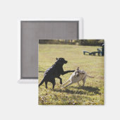 Honden spelen magneet (Voorkant / Achterkant)