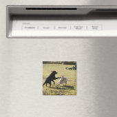 Honden spelen magneet (Insitu (Vaatwasser))