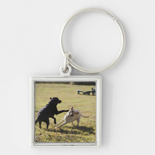 Honden spelen sleutelhanger (Voorkant)