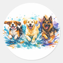 Honden spetteren