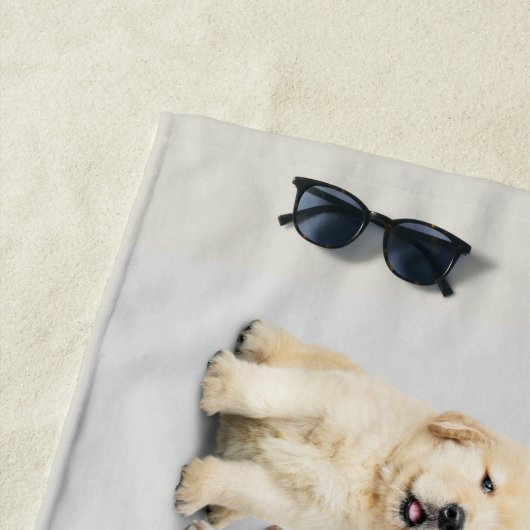 Honden Strandlaken (In situ)