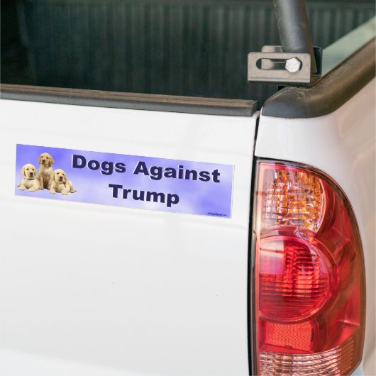 Honden tegen Trump Bumpersticker (Op Truck)