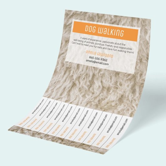 Honden uitlaten Flyers Professionele Minimaal Papi
