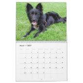 Honden van alle seizoenen van 2015 kalender (Mar 2027)
