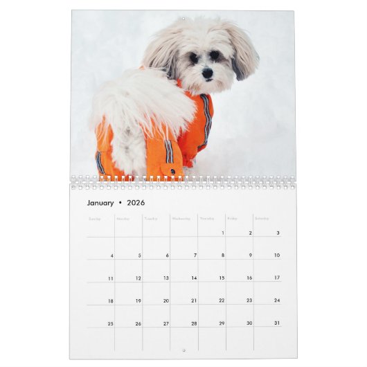 Honden van alle seizoenen van 2015 kalender (Jan 2026)