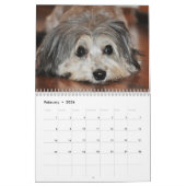 Honden van alle seizoenen van 2015 kalender (Feb 2026)