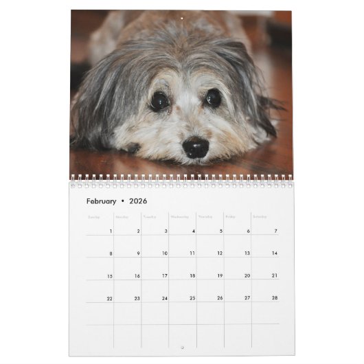 Honden van alle seizoenen van 2015 kalender (Feb 2026)