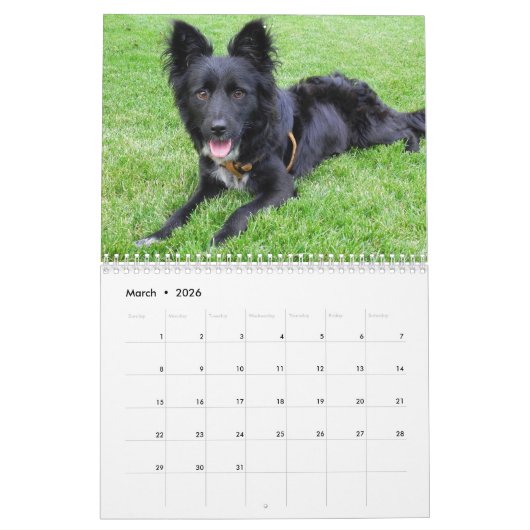 Honden van alle seizoenen van 2015 kalender (Mar 2026)