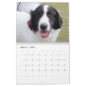 Honden van Bluebonnet 2018 Agenda Kalender (Feb 2026)