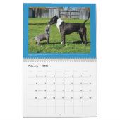 Honden van Chako Pit Bull Rescue 2016 Calendar Kalender (Feb 2026)