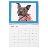 Honden van Chako Pit Bull Rescue 2016 Calendar Kalender (Mar 2027)