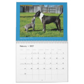Honden van Chako Pit Bull Rescue 2016 Calendar Kalender (Feb 2027)