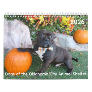 Honden van de Oklahoma City Animal Shelter Agenda Kalender