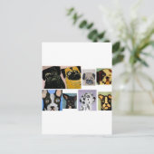 honden van eric ginsburg briefkaart (Staand voorkant)