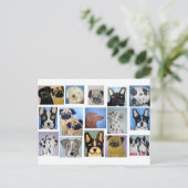honden van eric ginsburg briefkaart (Staand voorkant)