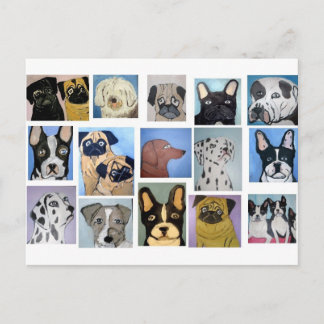 honden van eric ginsburg briefkaart