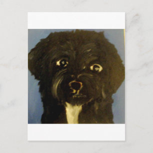 honden van eric ginsburg briefkaart