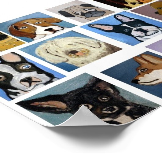 honden van eric ginsburg poster (Hoek)