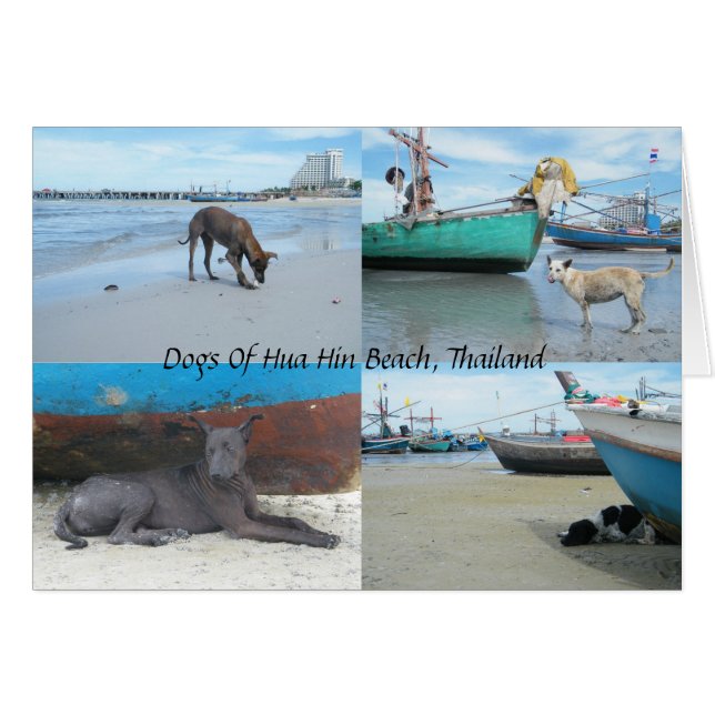 Honden van Hua Hin Beach, Thailand (Voorkant Horizontaal)