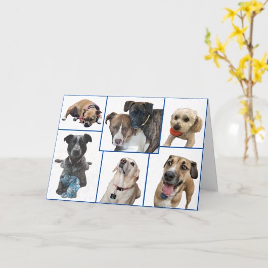 Honden van Johnston County Kaart (Gele Bloem)