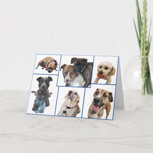 Honden van Johnston County Kaart (Voorkant)