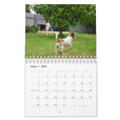 Honden van verschillende rassen 2019, kalender (Mar 2027)