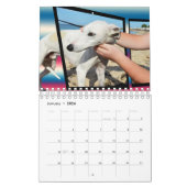 Honden van verschillende rassen 2019, kalender (Jan 2026)