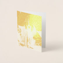 Honden vieren nieuwjaar