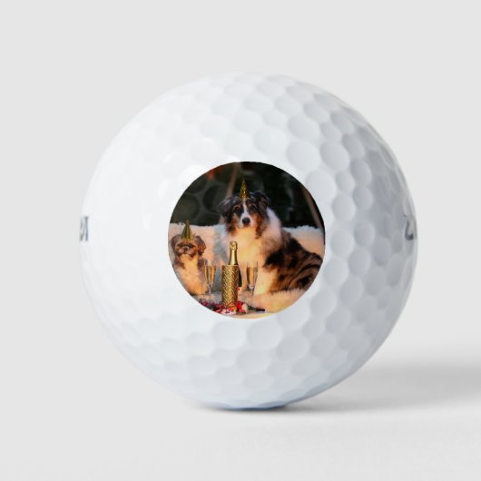 Honden vieren nieuwjaar golfballen (Voorkant)