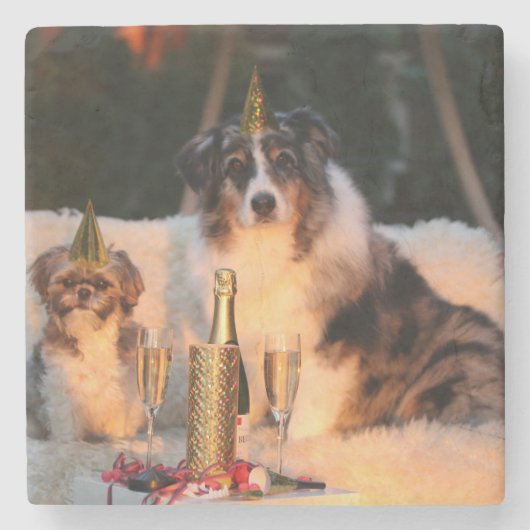 Honden vieren nieuwjaar stenen onderzetter (Voorkant)